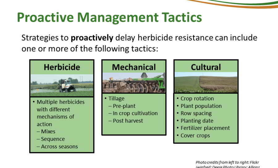 Principles Of Managing Herbicide Resistance - Cotton Incorporated