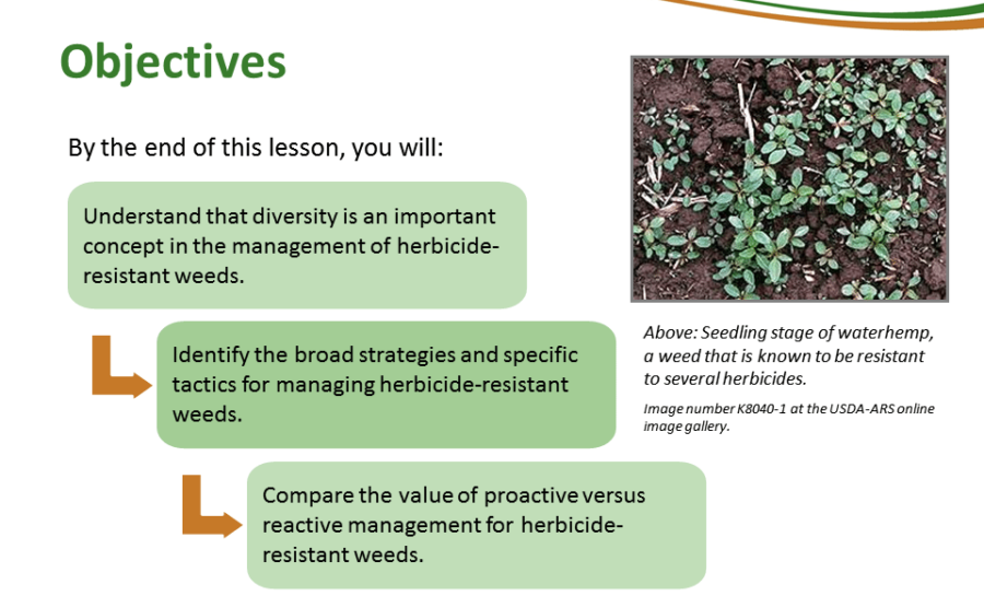 Principles Of Managing Herbicide Resistance - Cotton Incorporated