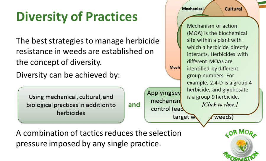 Principles Of Managing Herbicide Resistance - Cotton Incorporated