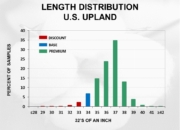 Slide15 180x130 - Cotton Crop Quality Summary