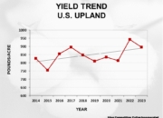 Slide2 180x130 - Cotton Crop Quality Summary