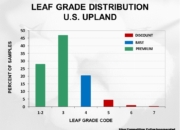 Slide28 180x130 - Cotton Crop Quality Summary