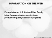 Slide30 180x130 - Cotton Crop Quality Summary