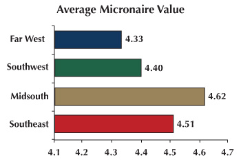 AMic - Properties of the Growing Regions