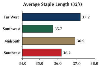 AStaple - Properties of the Growing Regions