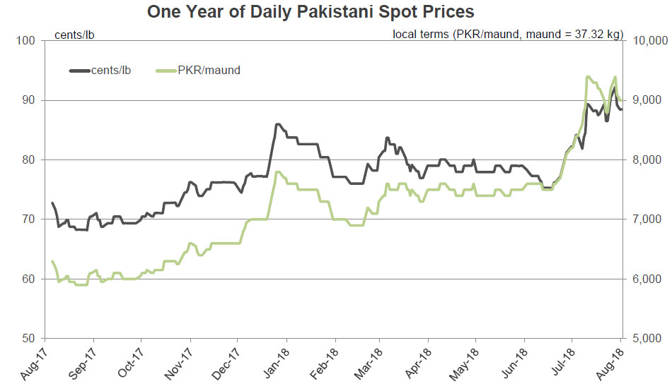 Cotton Market Fundamentals And Monthly Cotton Price Outlook